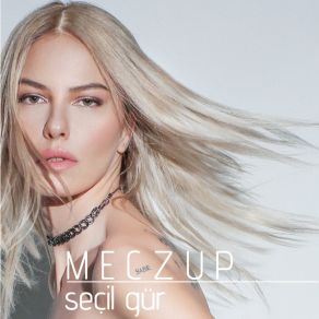 Download track Zaman Aldı Seçil Gür