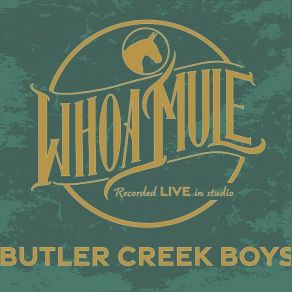 Download track A Little More Faith In Jesus The Butler Creek Boys