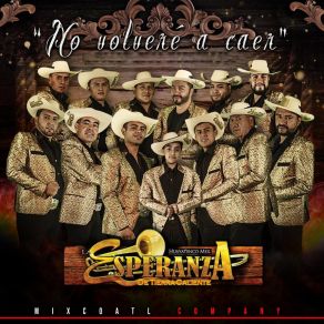 Download track No Volveré A Caer La Esperanza De Tierra Caliente Huayatenco Mex