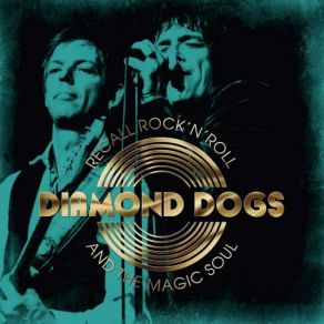 Download track Don't Fight It, Feel It (Alternative Version) The Diamond Dogs