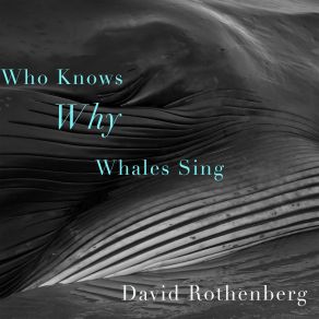 Download track Will We Know Why Whales Sing! David Rothenberg