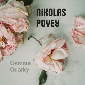 Download track Taming The Revenge Nikolas Povey