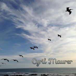 Download track Bristles Healing Cyril Maurer