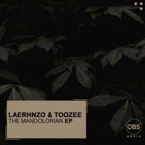 Download track The Mandolorian (Original Mix) TooZeeCarlix SA, LaErhnzo, Menzimuzicar