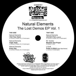 Download track I Got Your Heart Natural Elements