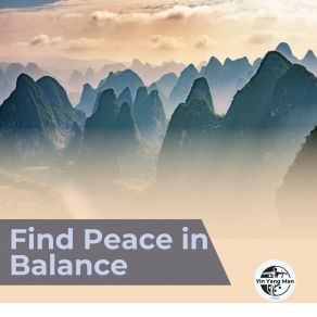 Download track Guide To Inner Peace Yin Yang Man