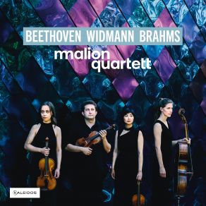 Download track Brahms String Quartet In A Minor Op. 51 No. 2 II. Andante Moderato Malion Quartett