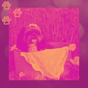 Download track Smoky Resting Dogs Music For Dogs