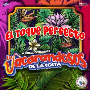 Download track Jacarandoso Mix De Leo: Que Tiene La Niña / Pareces Una Nena / Te He Prometido Marimba Orquesta Los Jacarandosos De La Costa