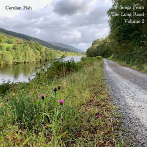 Download track When The Morning Comes Carolan Fish