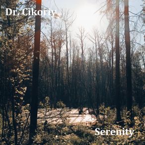 Download track Serenity (Edit Version) Dr. Cikoriy