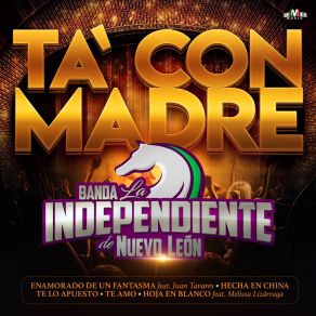 Download track Enamorado De Un Fantasma Banda La Independiente De Nuevo LeónJuan Tavares