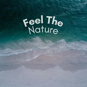 Download track Flying Through Nature Rain Sounds Of Nature Noise