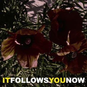 Download track IT FOLLOWS YOU NOW Luster