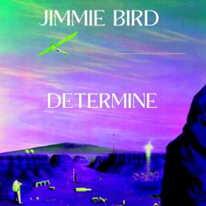 Download track Seem Jimmie Bird