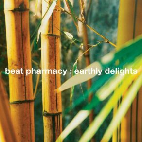 Download track Monkey's Wedding Beat Pharmacy