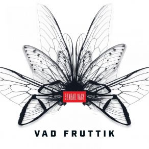 Download track Ébren Vad Fruttik