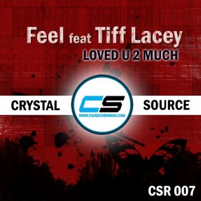 Download track Loved U 2 Much (Paul Allen Remix) Tiff Lacey, Feel, DJ