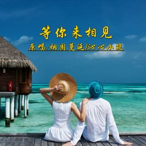 Download track 等你来相见 (DJ对唱版伴奏) 沁心小筑