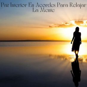 Download track Armonía Celestial Santiago Paz Mental