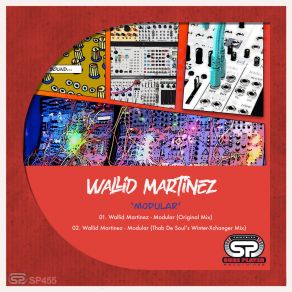 Download track Modular (Thab De Soul's Winter-Xchanger Mix) Walid MartinezThab De Soul