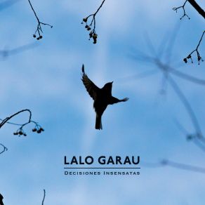 Download track Amargo Letargo Lalo Garau