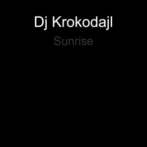 Download track Dlha Noc Dj Krokodajl