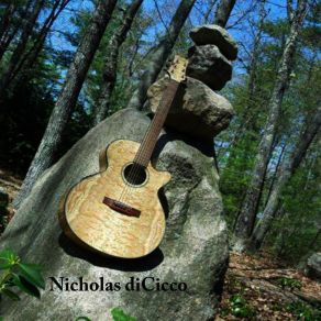 Download track Needle To The Vein Nicholas DiCicco