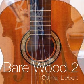 Download track Walking Beside U (Bare Version) Ottmar Liebert