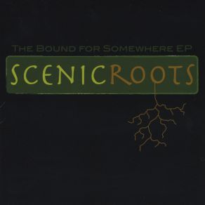 Download track Ain't No Grave Scenic Roots