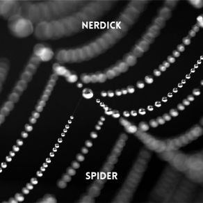 Download track Spider (Radio Edit) Nerdick