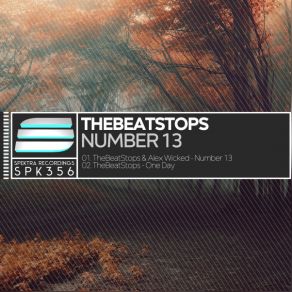 Download track Number 13 TheBeatStops