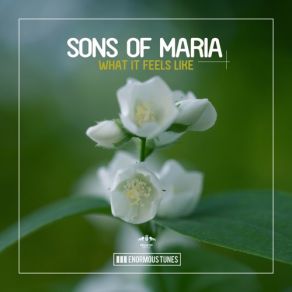 Download track Our Love (Original Mix) Sons Of Maria