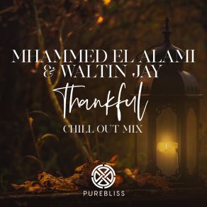 Download track Thankful (Chill Out Remix) Mhammed El Alami, Waltin Jay