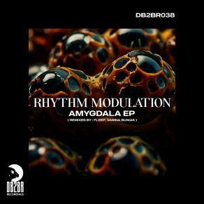 Download track Explanation (Vanina Buniak Remix) Rhythm ModulationVanina Buniak