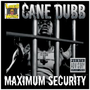 Download track Never Bite My Style Cane Dubb