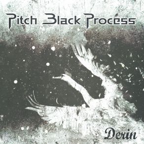 Download track Son Bilmece Pitch Black Process