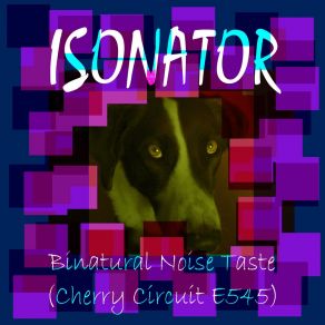 Download track Binatural Circuit 2 Isonator