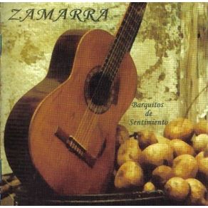 Download track Mi Guitarra Bravía Zamarra