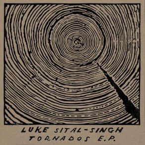 Download track How To Lose Your Life Luke Sital - Singh