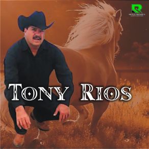 Download track Soy Un Tonto Tony Rios