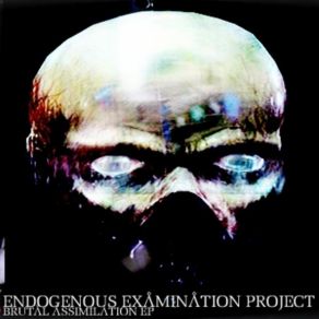 Download track Human Companionship Endogenous Examination Project