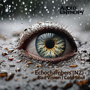 Download track Cold Soul Echochambers