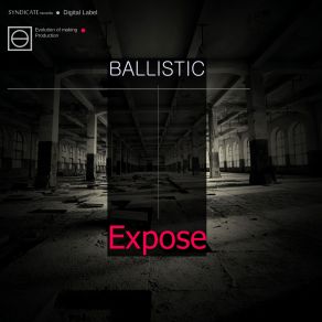 Download track Elaborate Ballistic