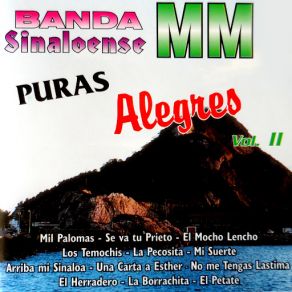 Download track Mil Palomas Banda Sinaloense MM