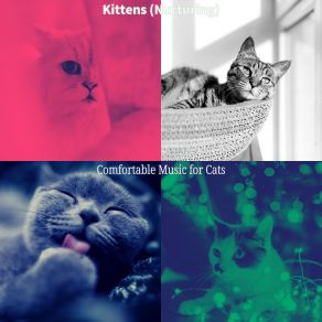 Download track Cuddly (Relaxing Cats) Comfortable Music For Cats