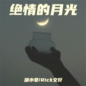 Download track 绝情的月光 (伴奏) Rick文轩