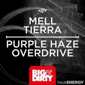 Download track Purple Haze (Original Mix) Mell Tierra