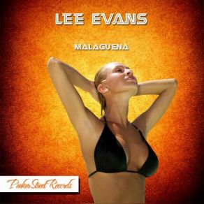 Download track Something You Never Had Before Lee Evans