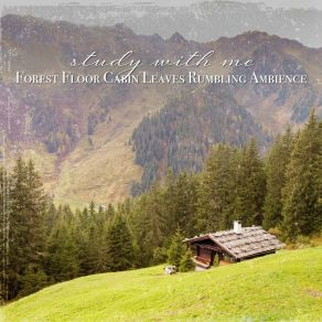 Download track Forest Floor Cabin Leaves Rumbling Ambience, Pt. 7 Sebastian Riegl